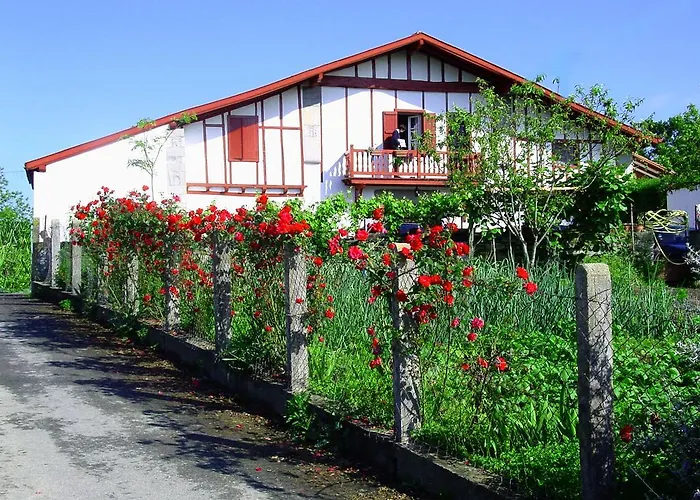 巴科克住宿加早餐旅馆 住宿加早餐酒店 Suhescun