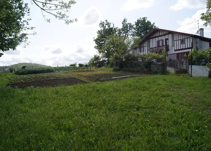 巴科克住宿加早餐旅馆