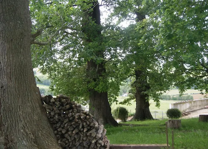 住宿加早餐酒店 巴科克住宿加早餐旅馆