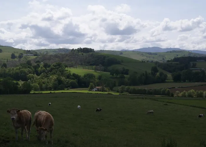 巴科克住宿加早餐旅馆