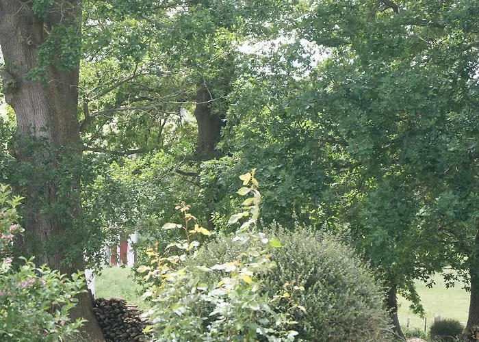 住宿加早餐酒店 巴科克住宿加早餐旅馆 Suhescun